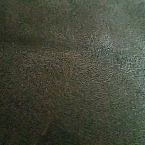 Meet your Posher, Bobbie